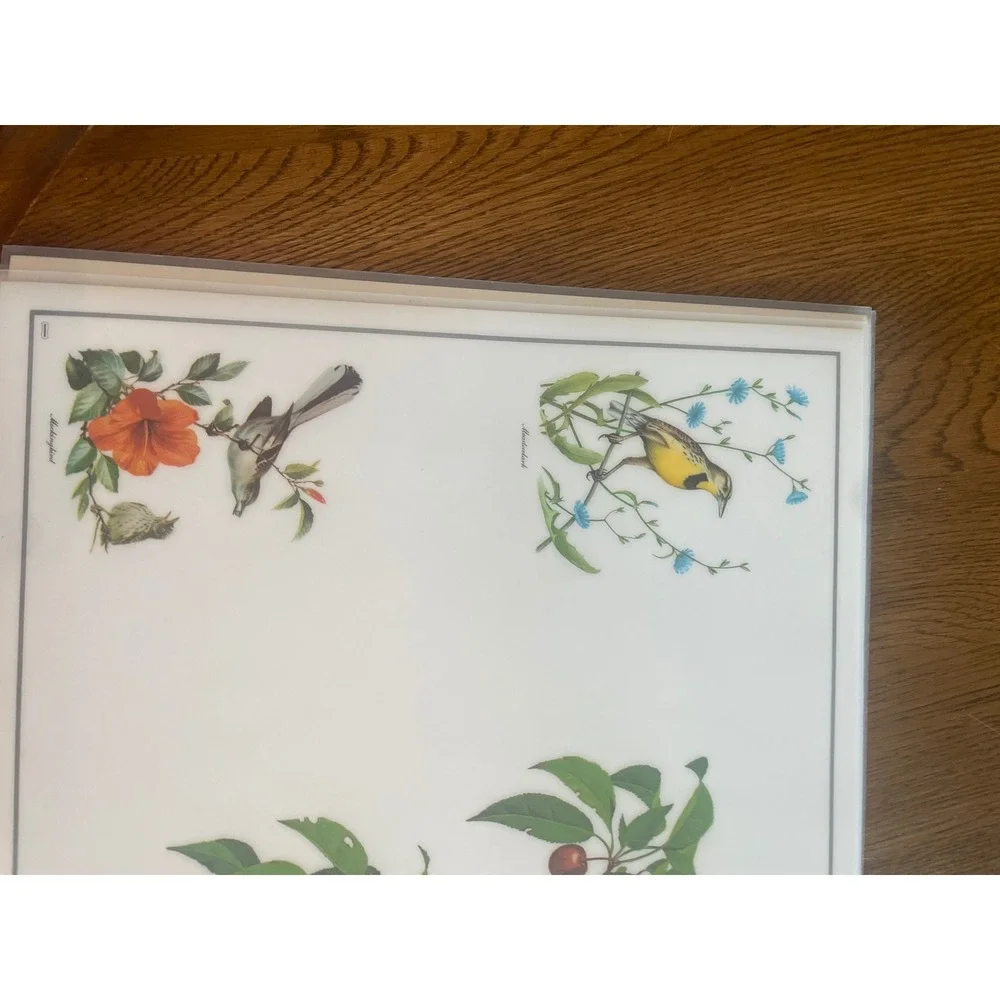 Vintage Roger Tory Peterson Songbird Placemats Set of 6 Nature Bird Art Decor